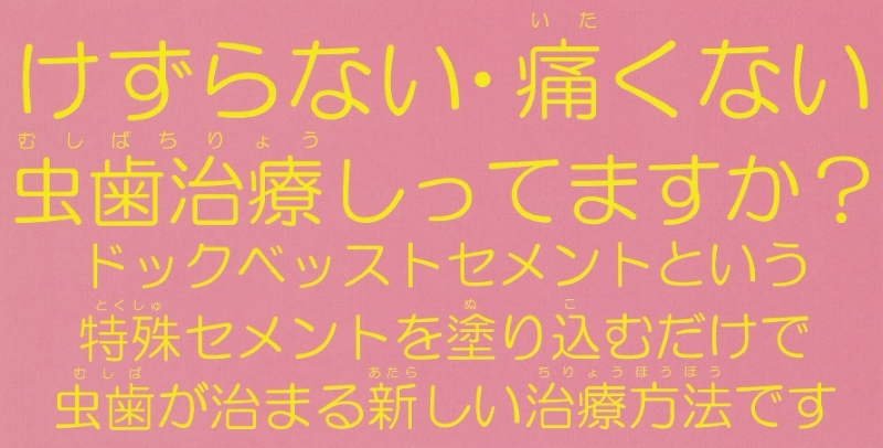 公式案内画像