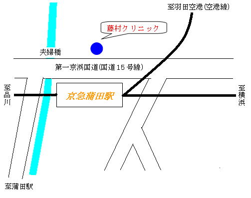 公式案内画像