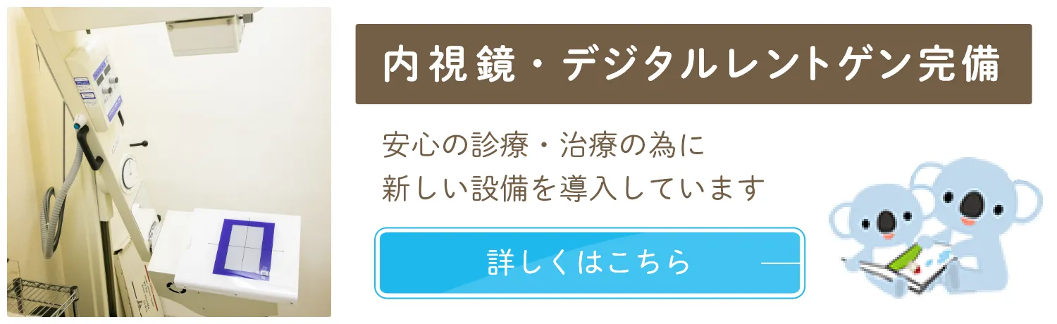 公式案内画像