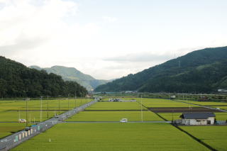 公式案内画像