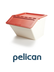 pelican