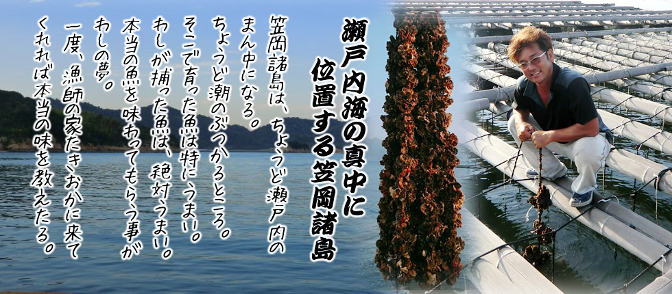 漁師の家たきおか-牡蠣販売・観光漁業・漁師料理・底引き網 の写真