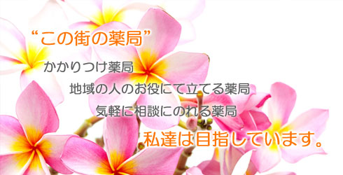 はなぞの薬局 の写真