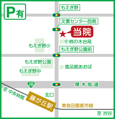公式案内画像