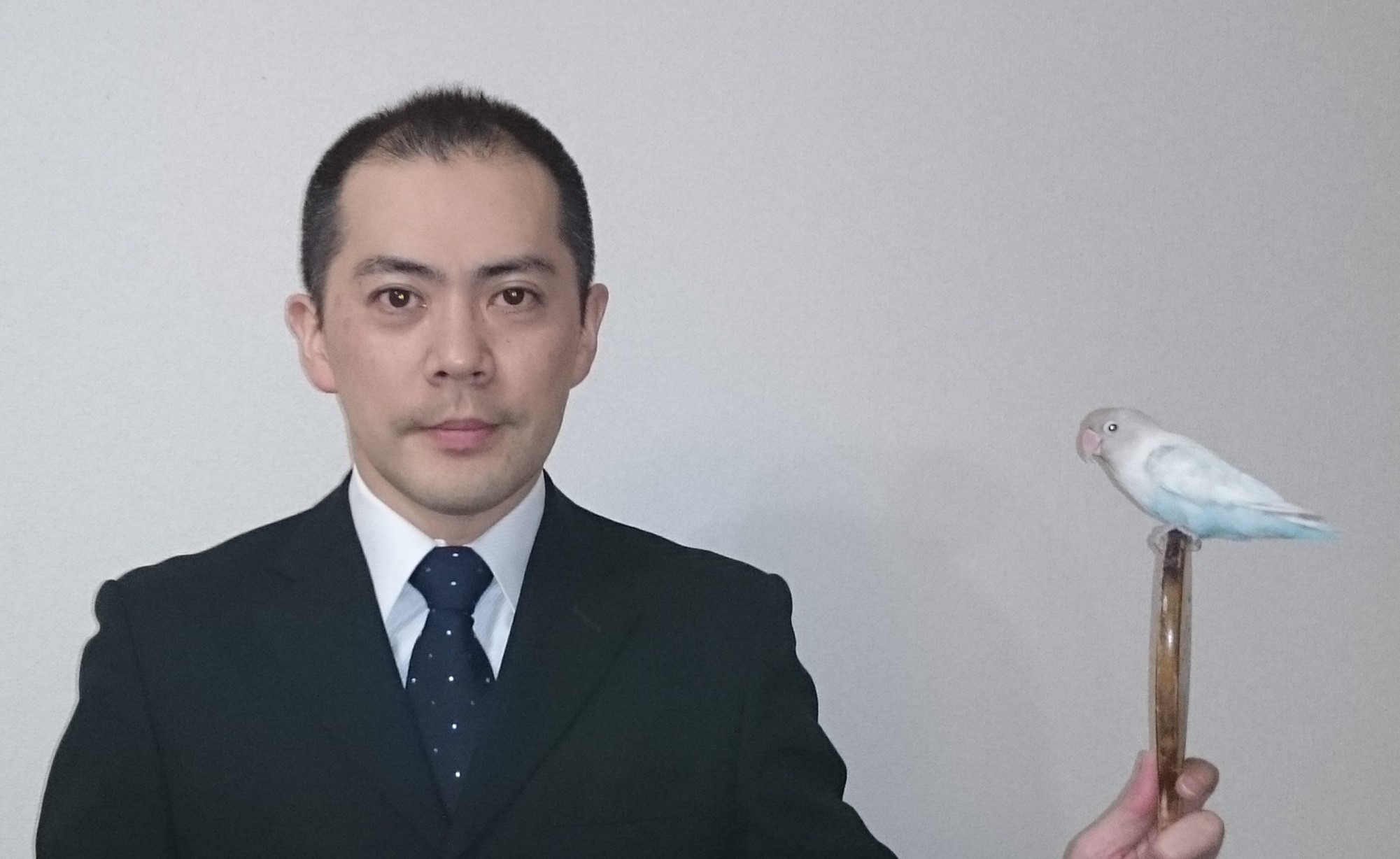 公式案内画像