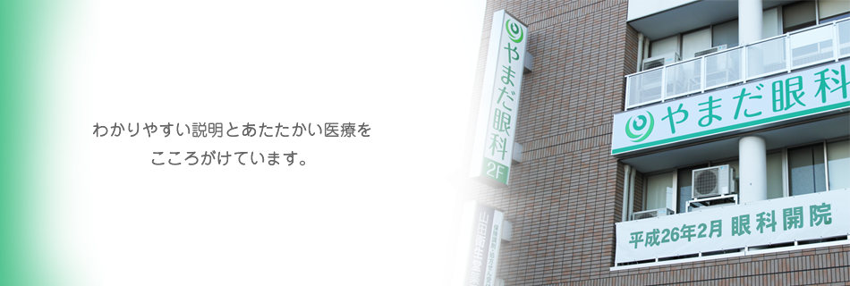 公式案内画像
