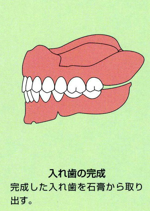 公式案内画像