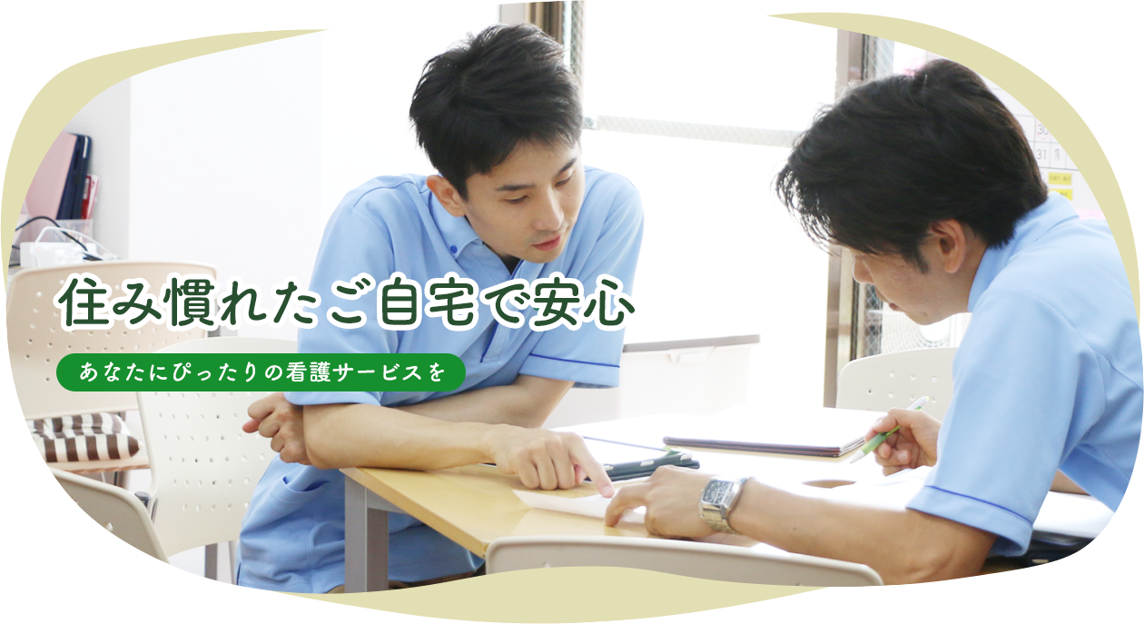 公式案内画像