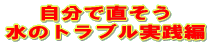 自分で直そう 水のトラブル実践編