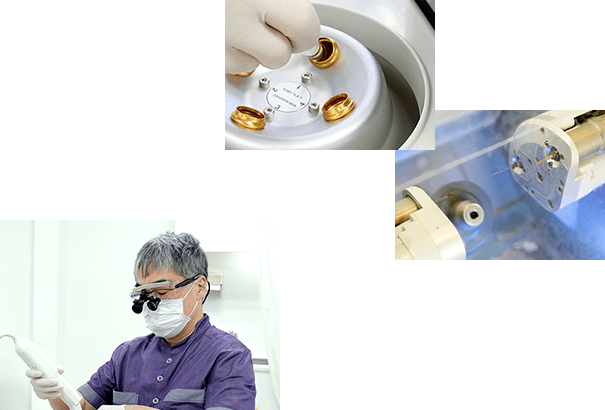 公式案内画像