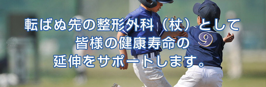公式案内画像