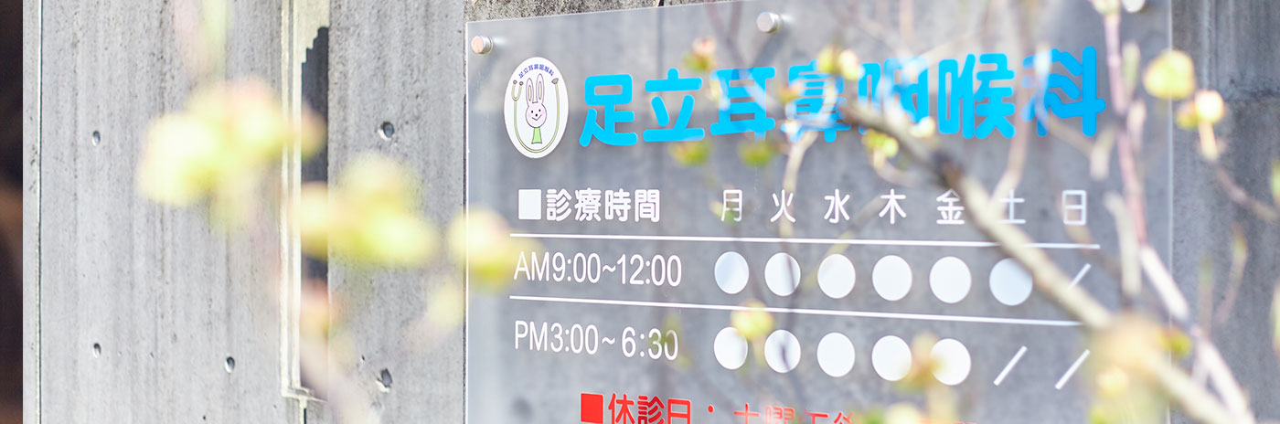 公式案内画像