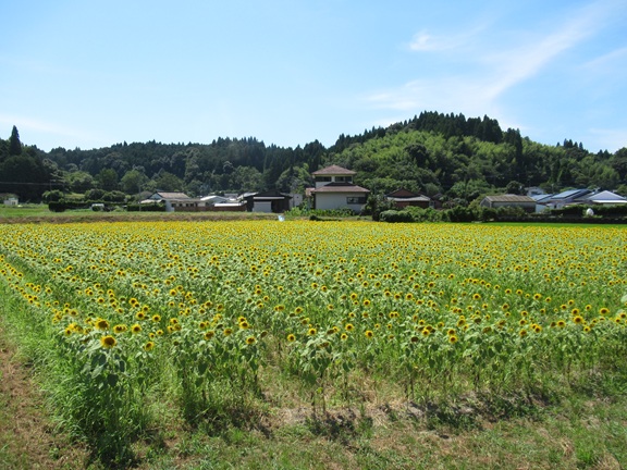 あいらの森ホスピタル の写真