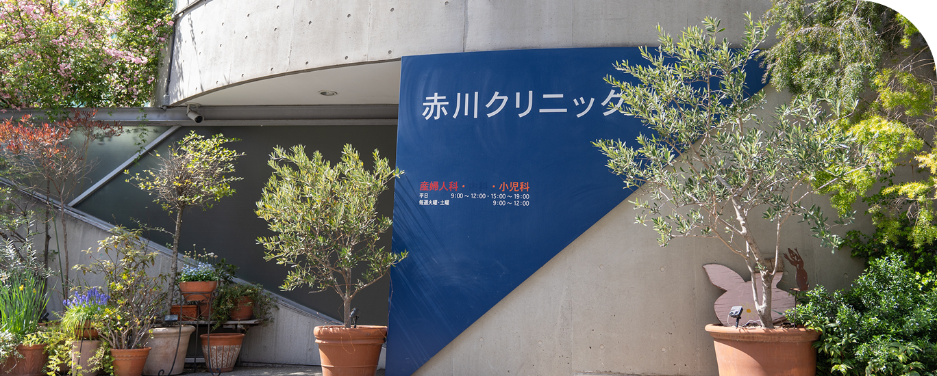 公式案内画像