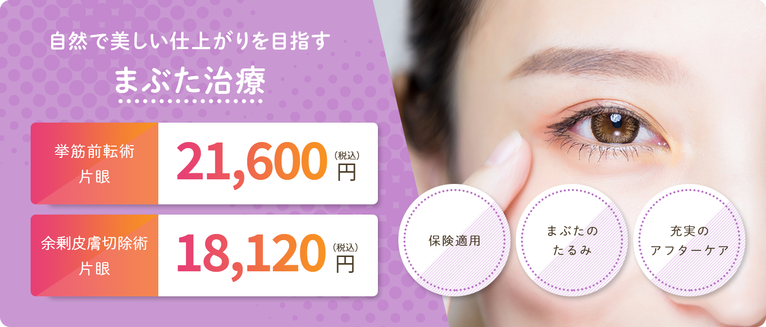 公式案内画像