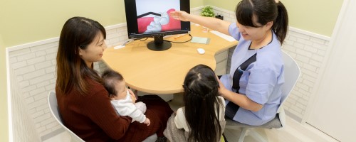 公式案内画像