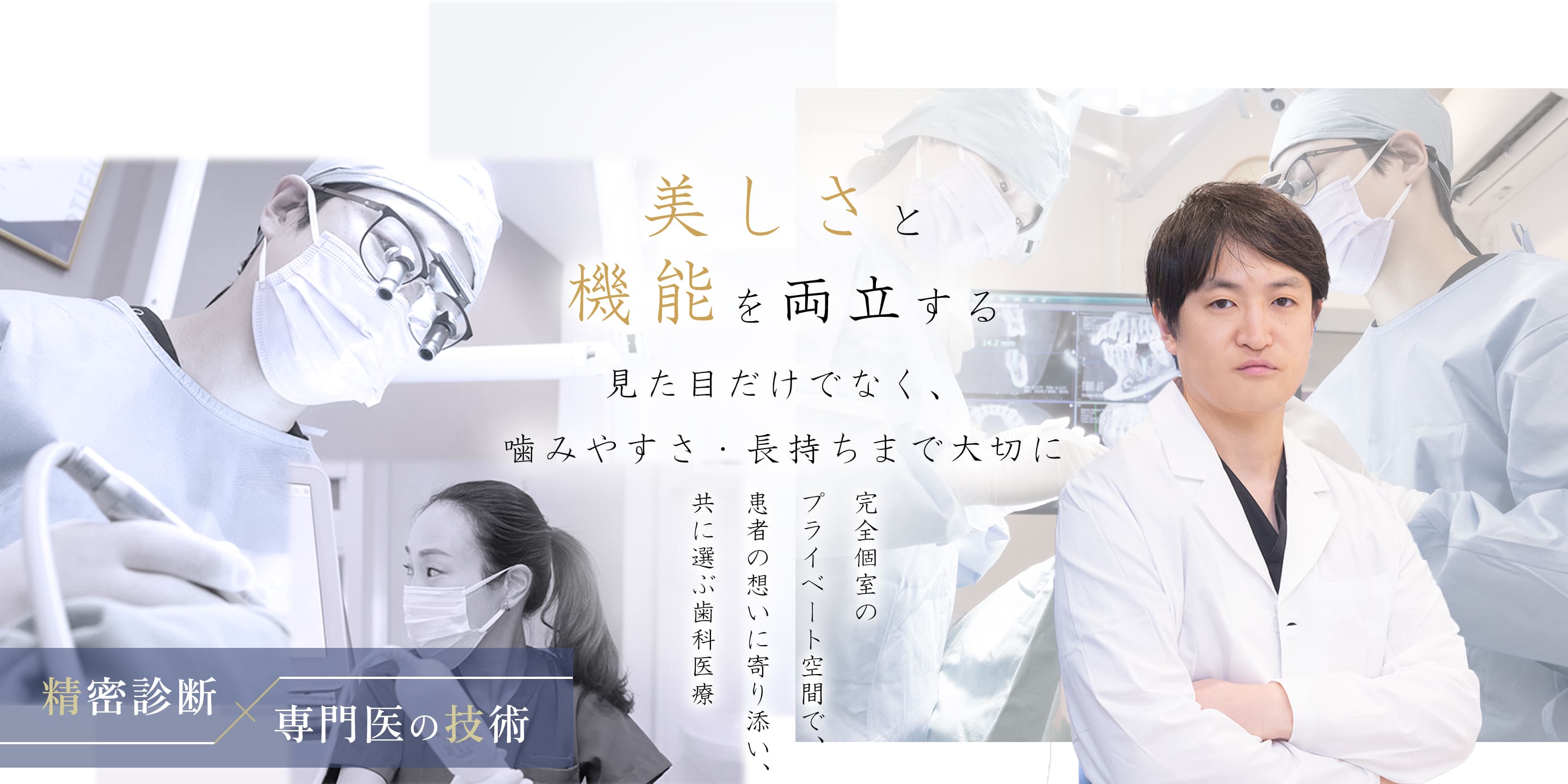 公式案内画像