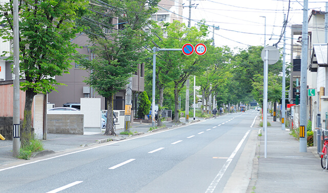 公式案内画像