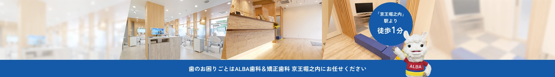 公式案内画像