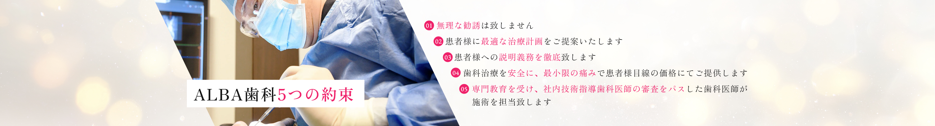 公式案内画像