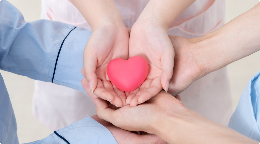 公式案内画像