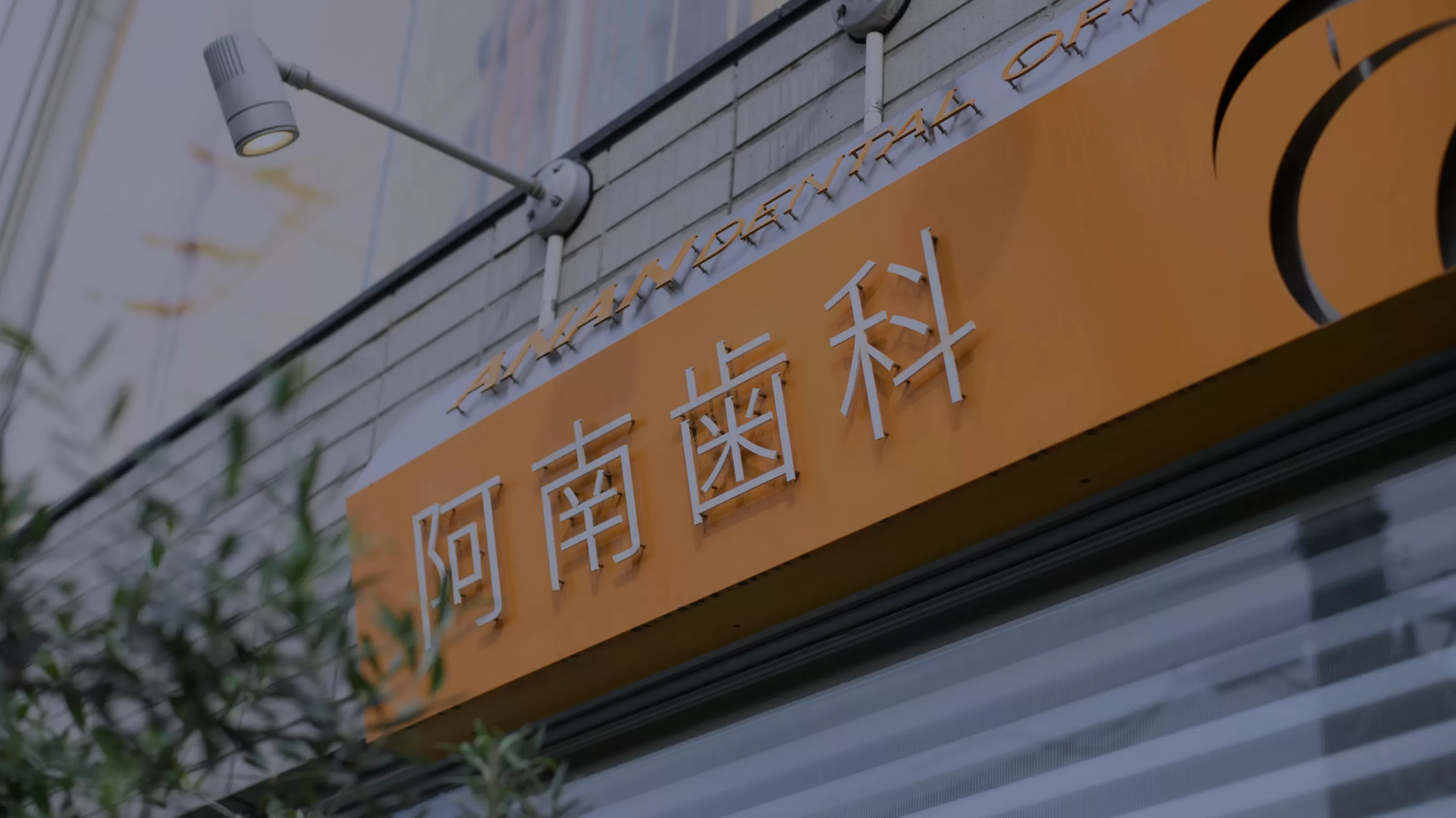 公式案内画像