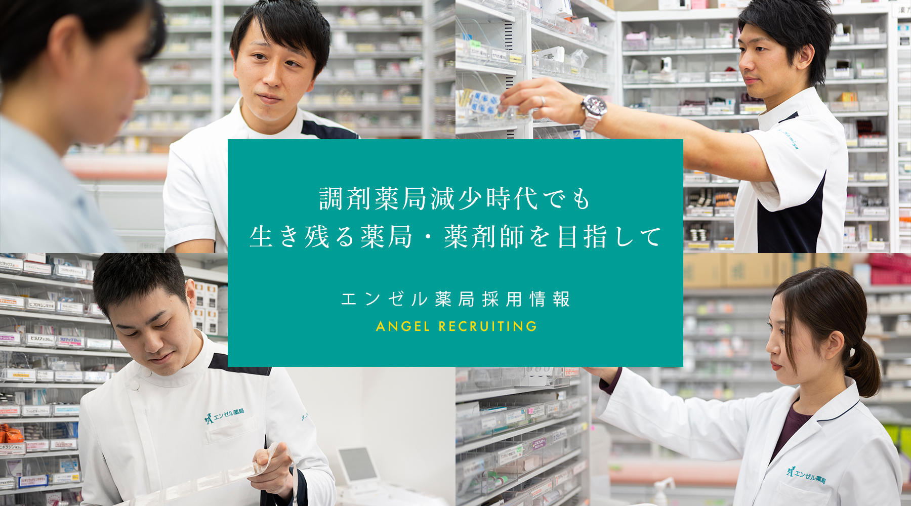 公式案内画像