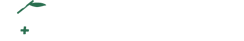 あんず 薬局