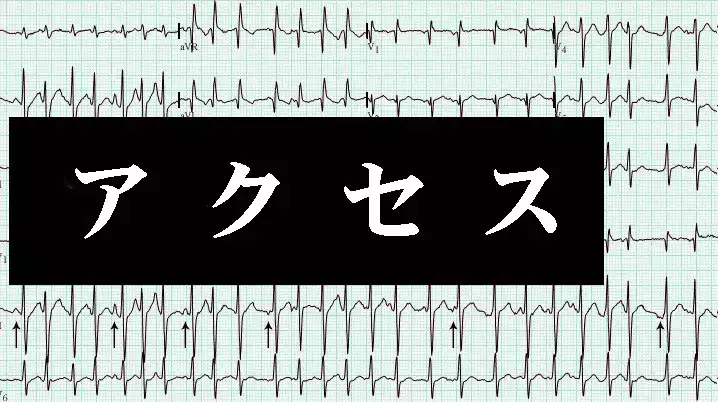 公式案内画像