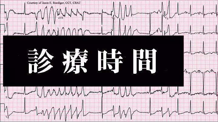 公式案内画像