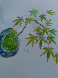 朝日内科歯科医院 の写真
