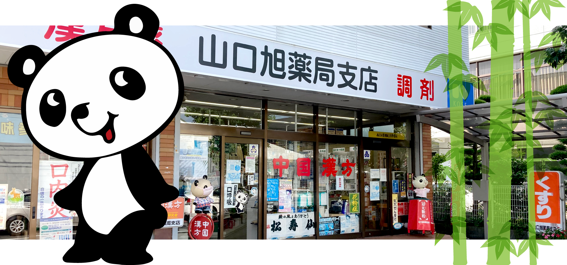公式案内画像