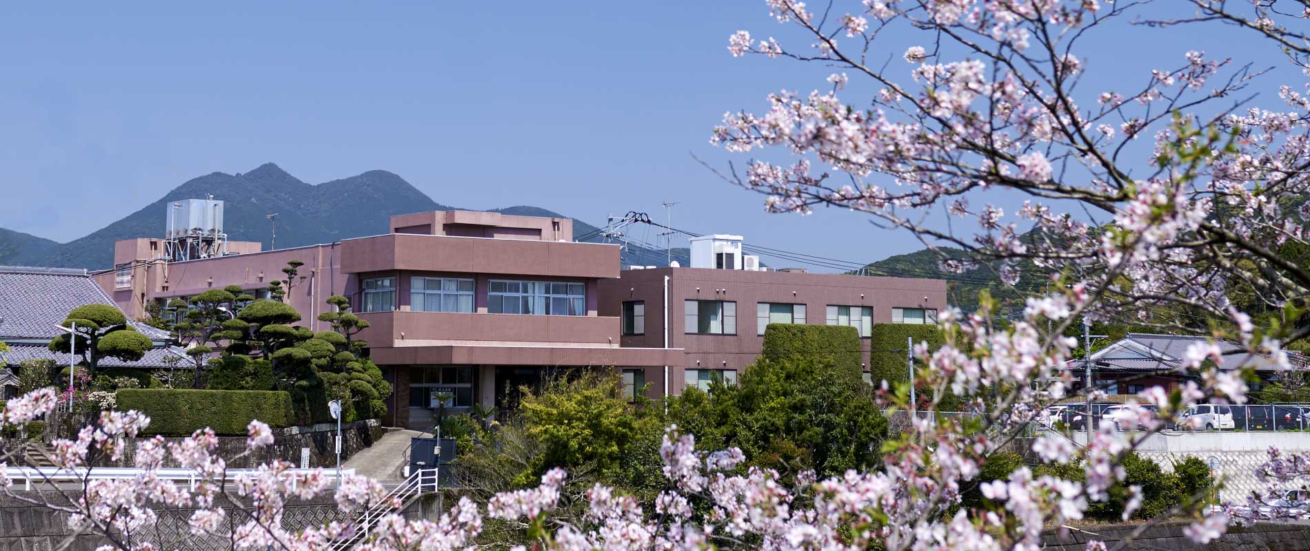 公式案内画像
