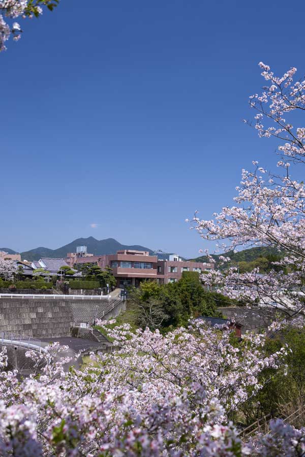 阿多病院 の写真