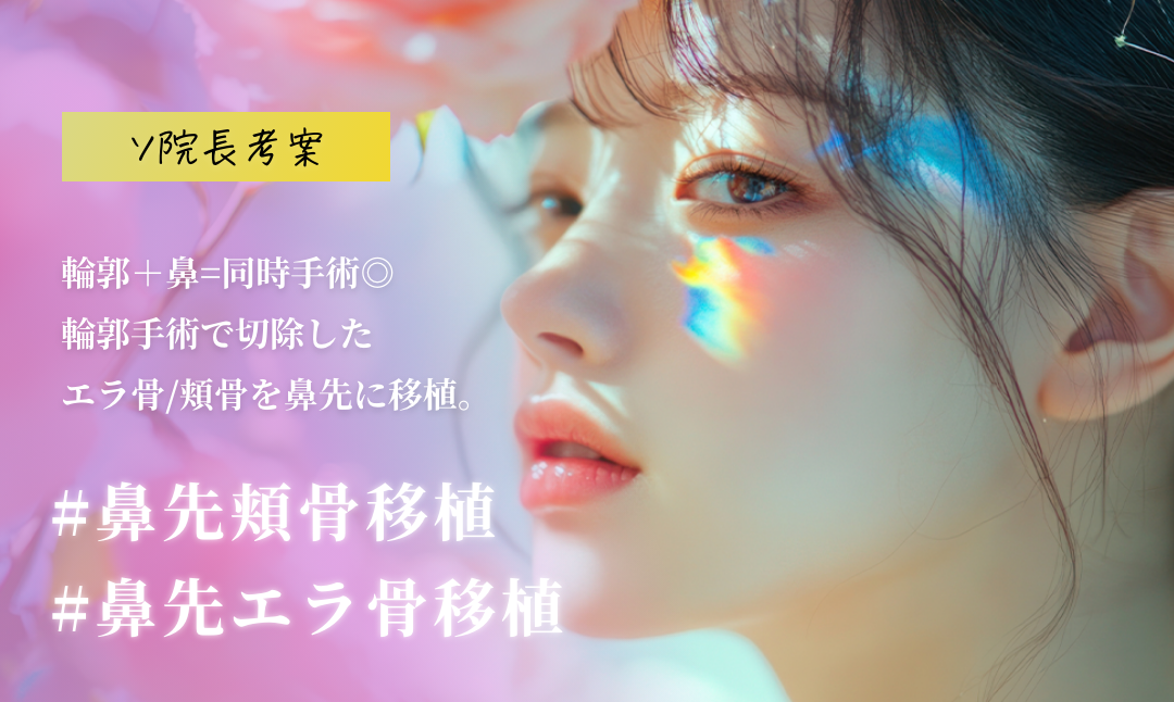公式案内画像