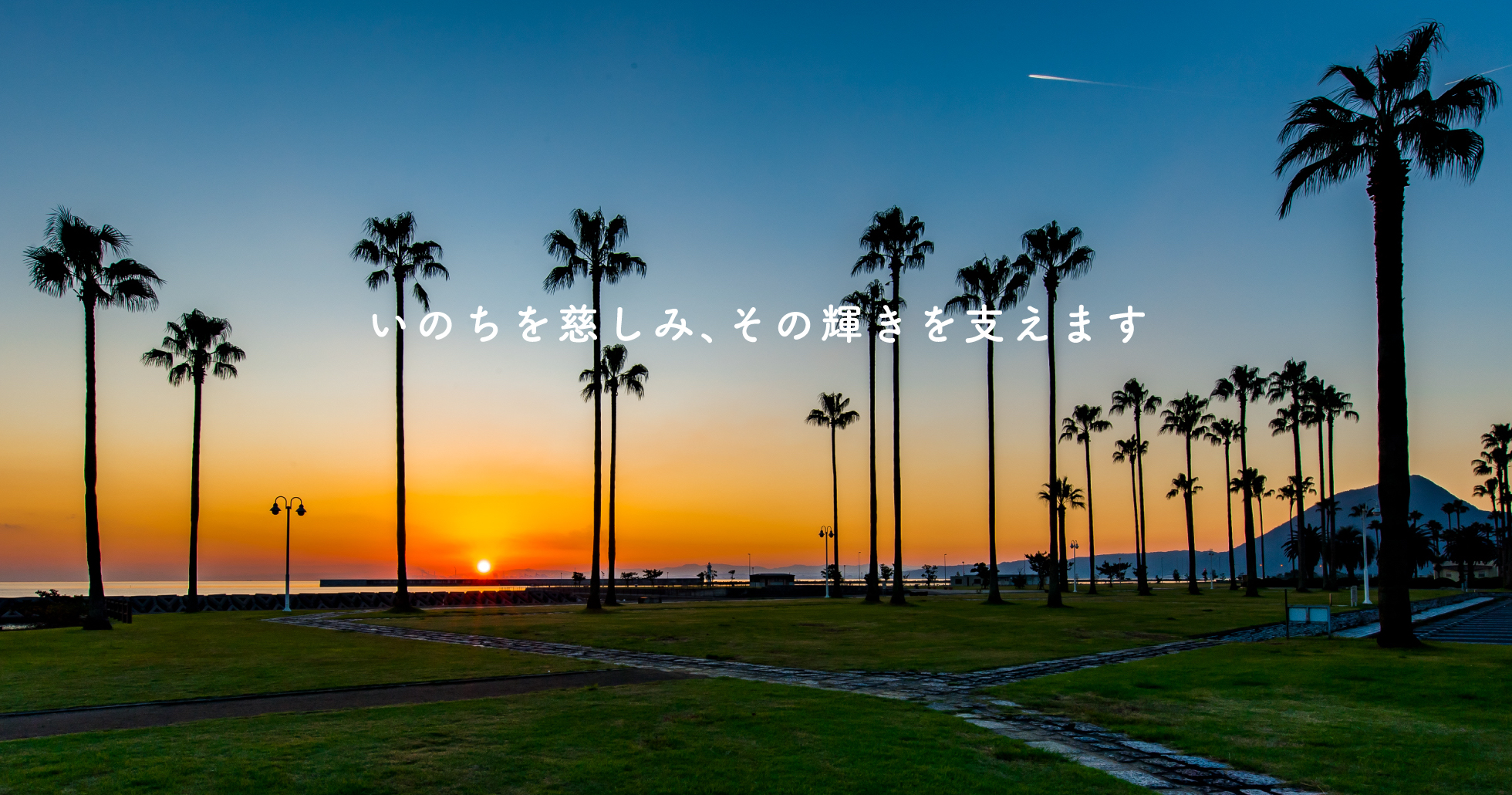 公式案内画像