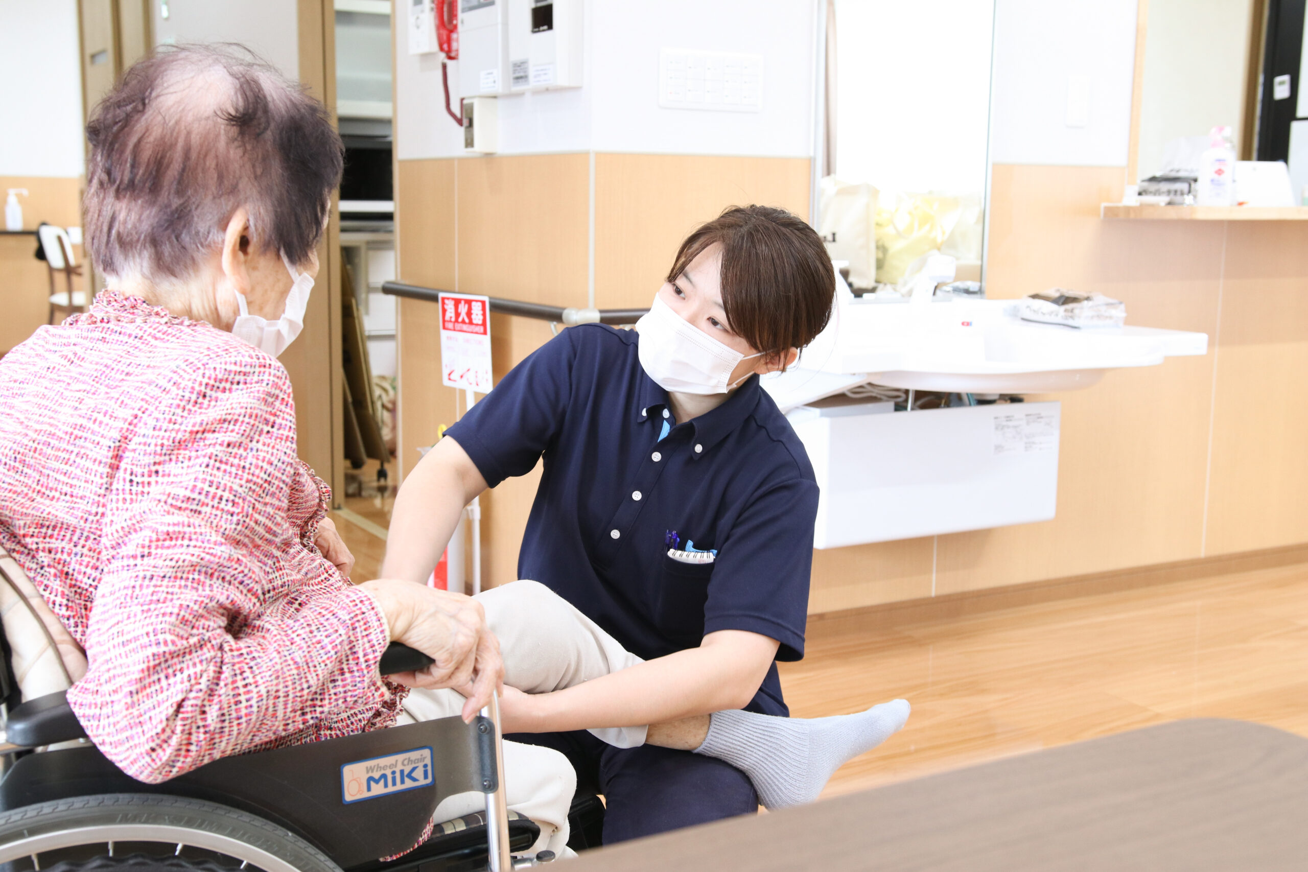 公式案内画像