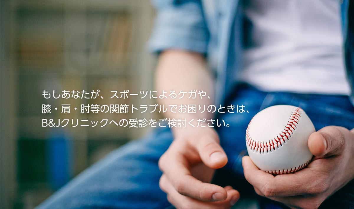 公式案内画像
