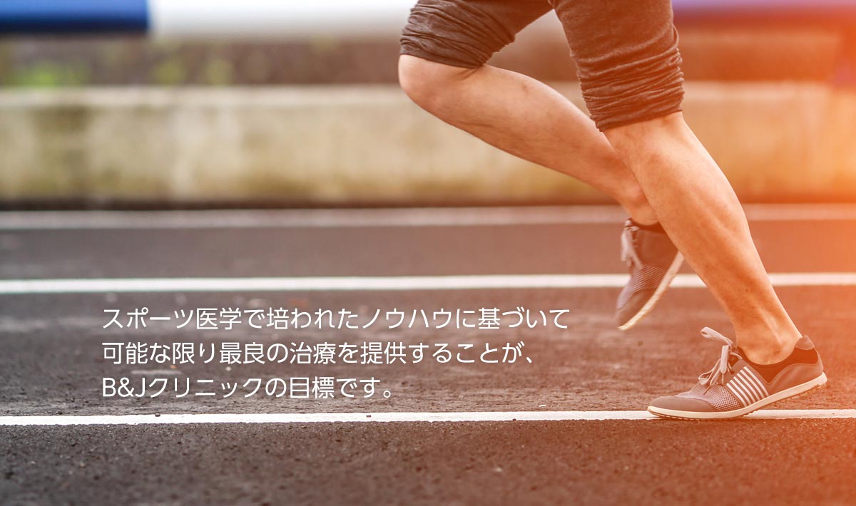 公式案内画像