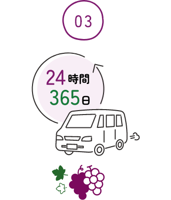 公式案内画像