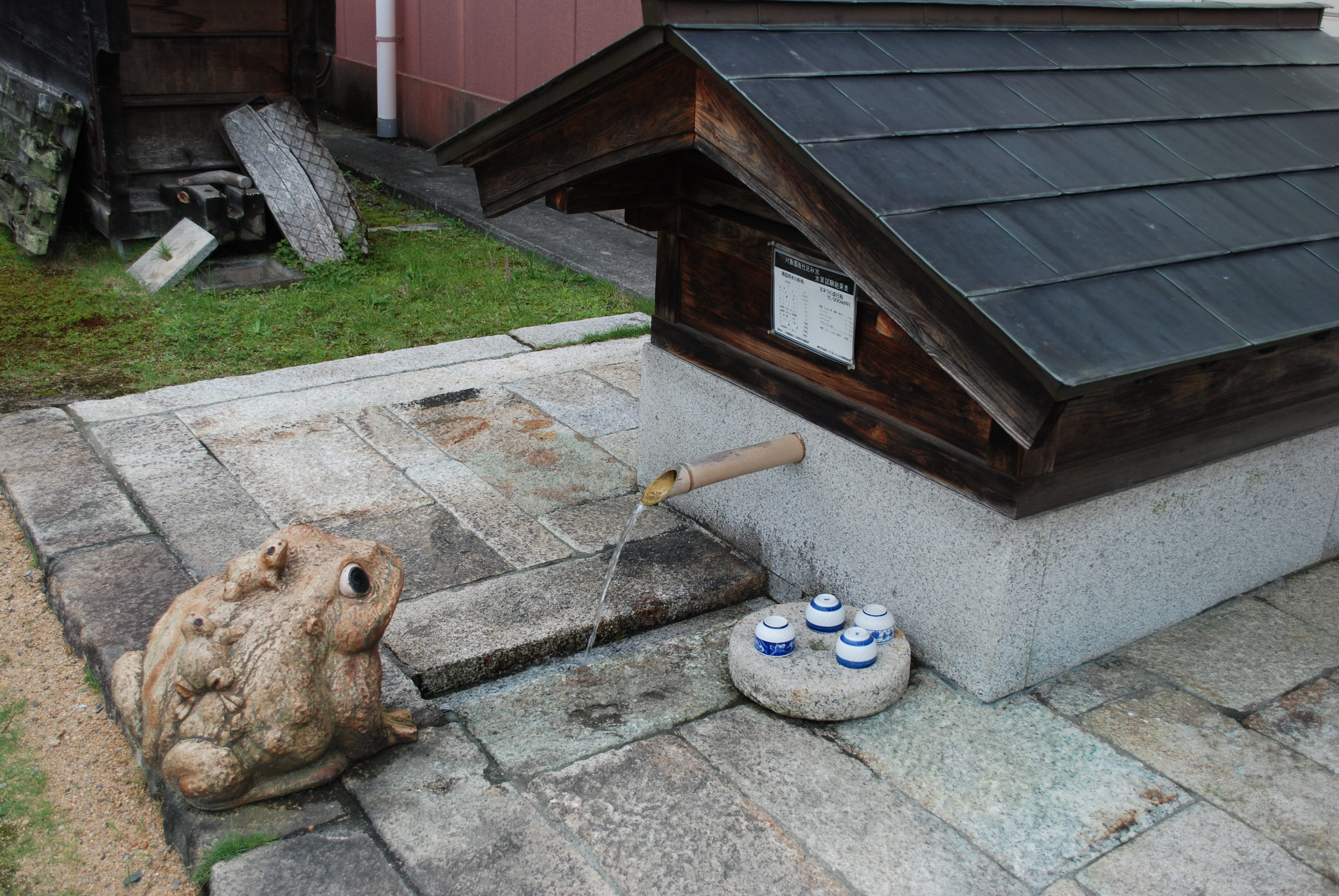 針江の湧水の取水口