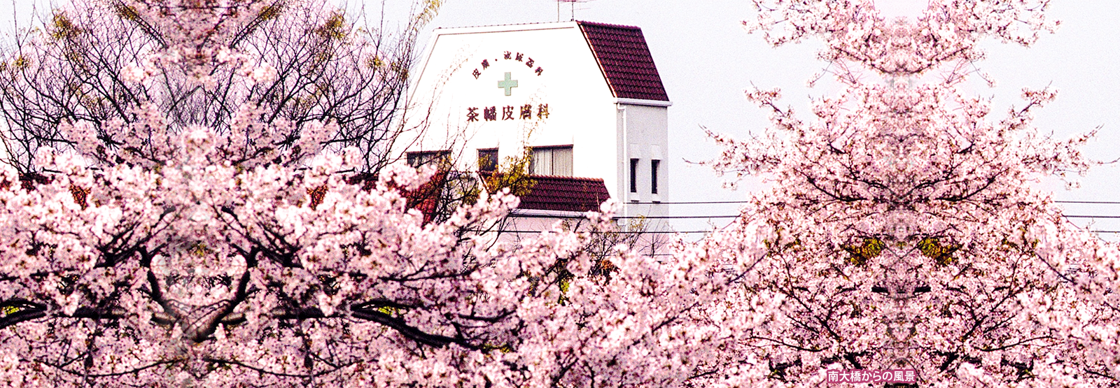 茶幡皮膚科・泌尿器科医院 の写真