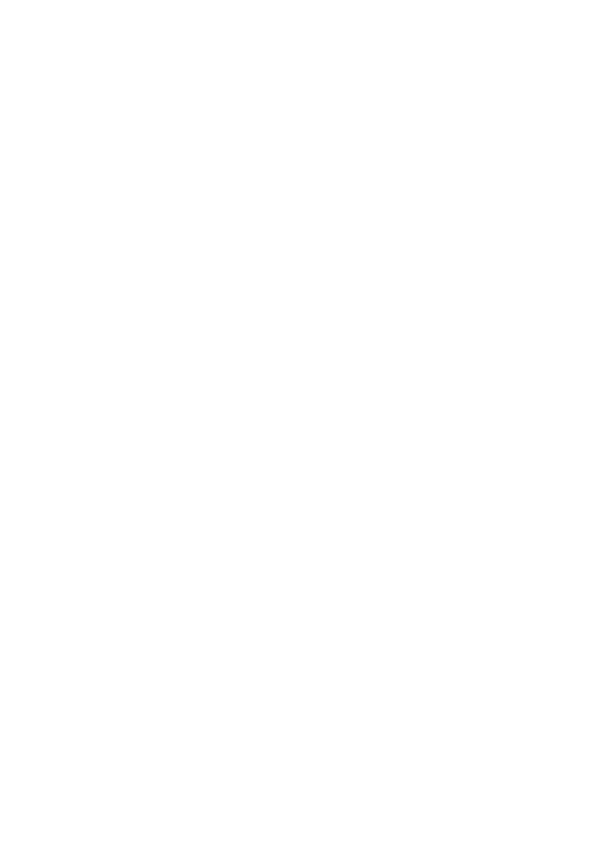 Vignobles Paloumey