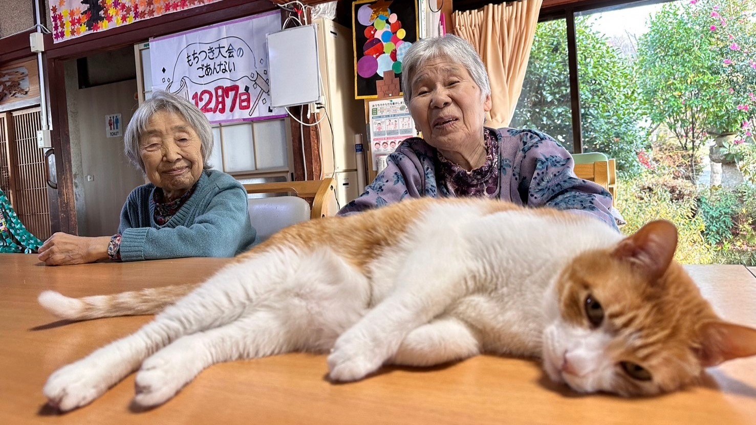 チアフル訪問看護ステーション の写真