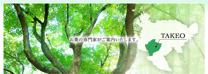 公式案内画像