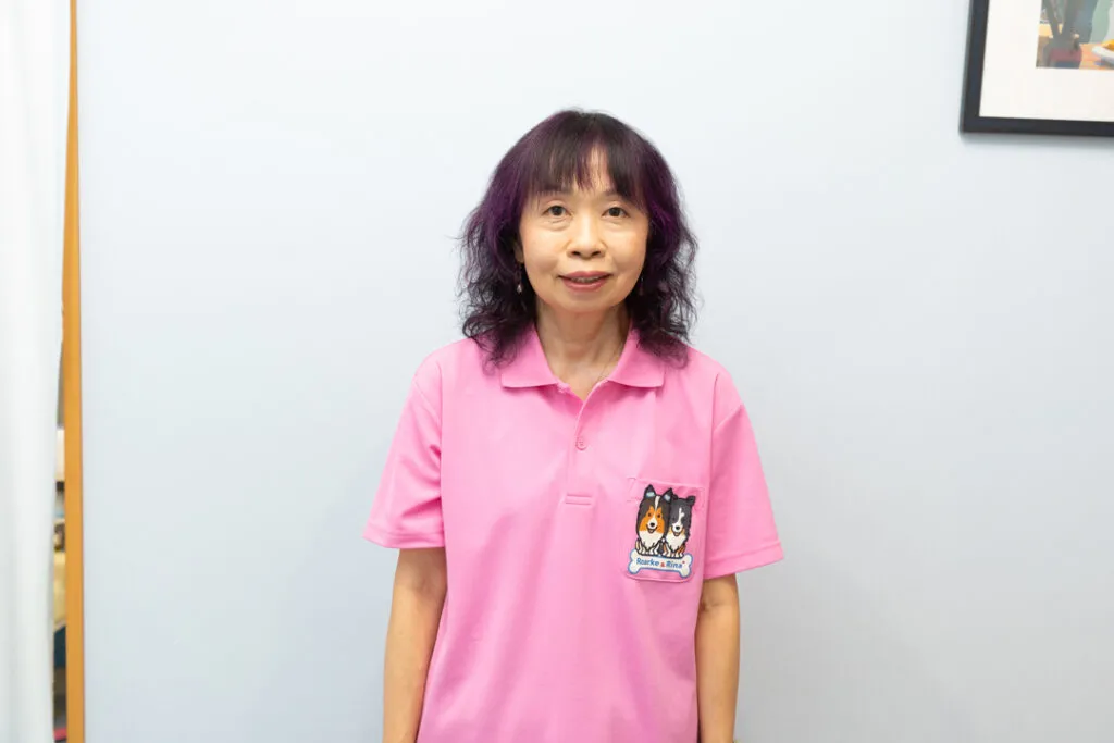 公式案内画像