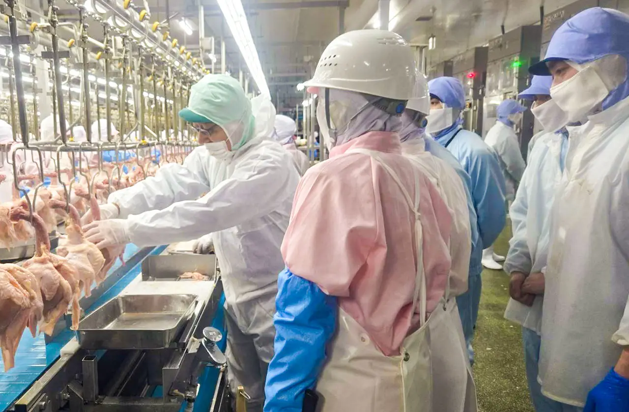 工場ラインで改善作業に取り組むスタッフ