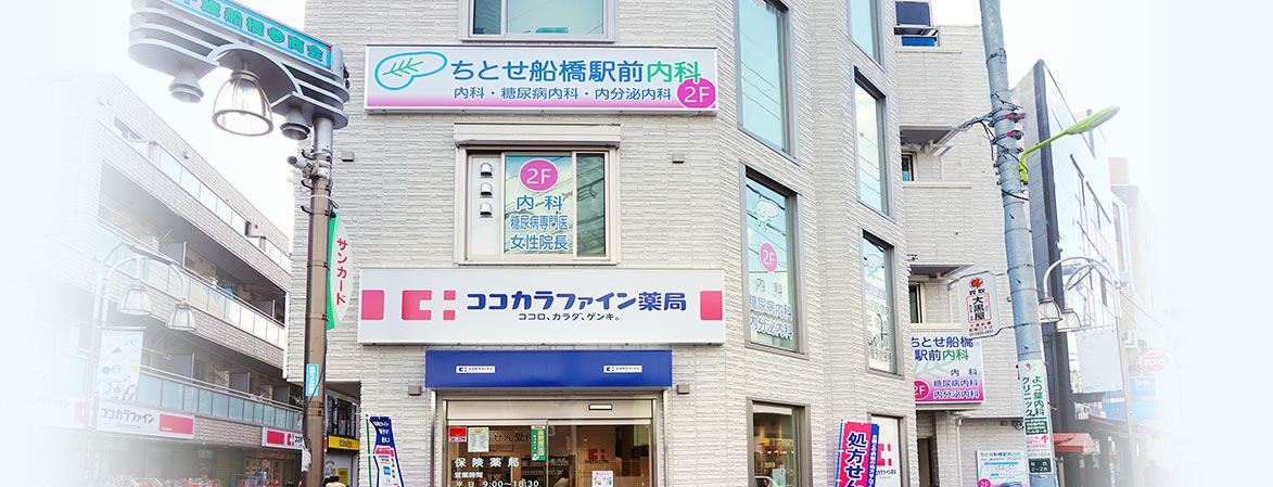 公式案内画像
