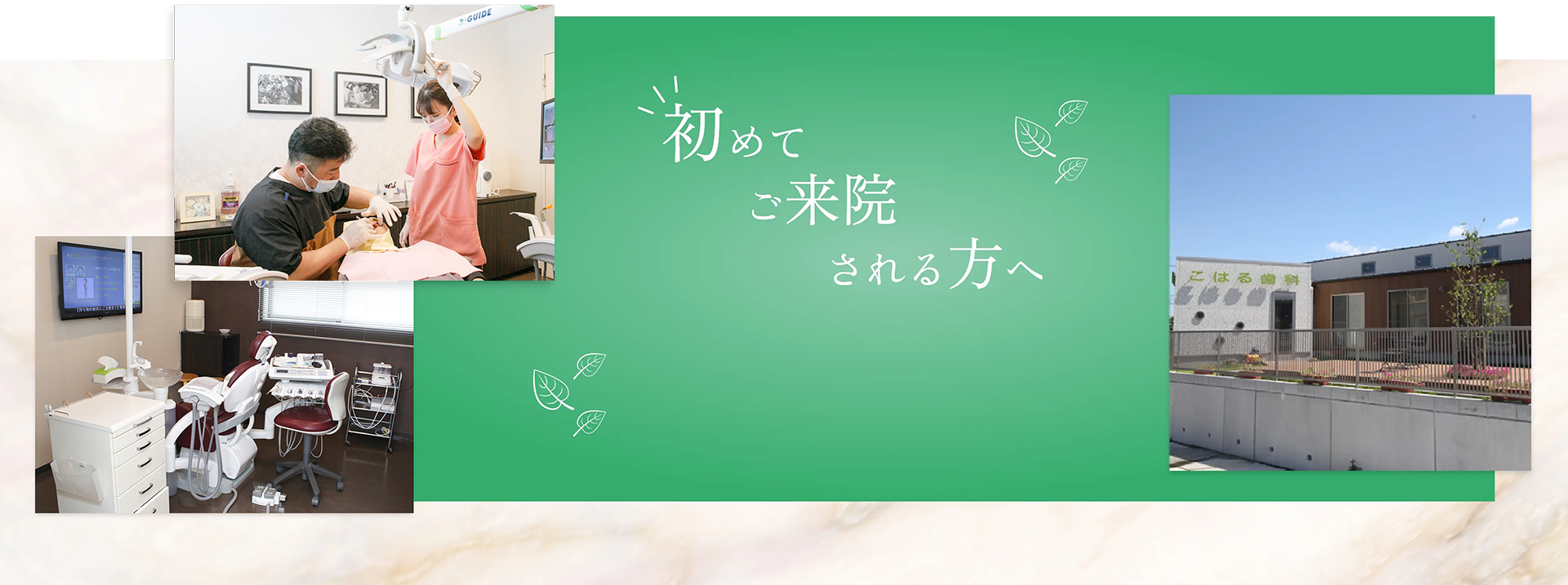 公式案内画像