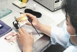 公式案内画像